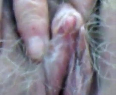 Hairy granny loves to cum